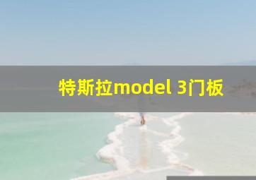 特斯拉model 3门板